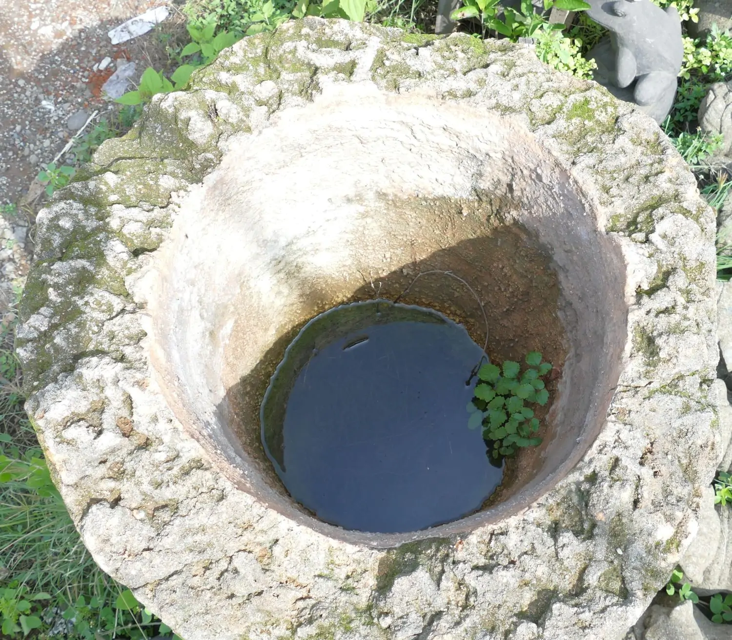  Product image 6 of the product “The Iceland Pot is made of limestone, it comes from coast of Indonesia. It is about 120cm height and 83cm depth. ”